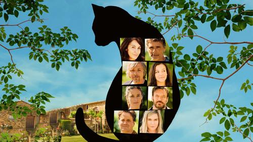 Ma langue au chat filmas žiurėti online