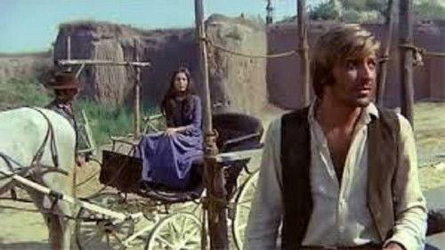 Brother Outlaw filmas žiurėti online