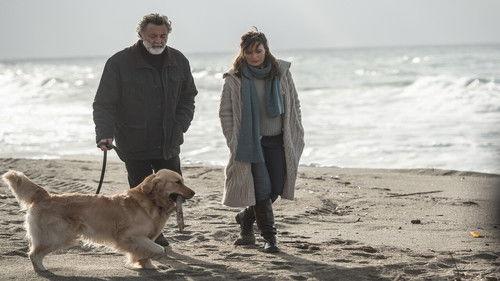 The Penitent - A Rational Man filmas žiurėti online