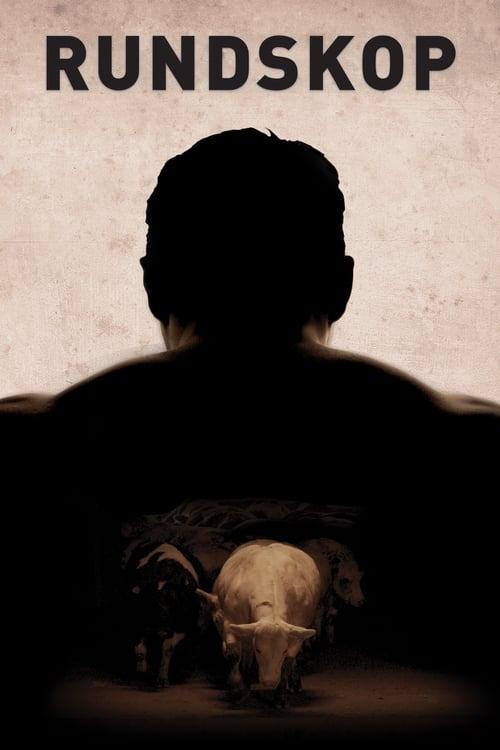 Rundskop filmas online