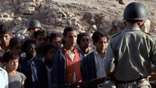 The Madwoman of Toujane filmas žiurėti online