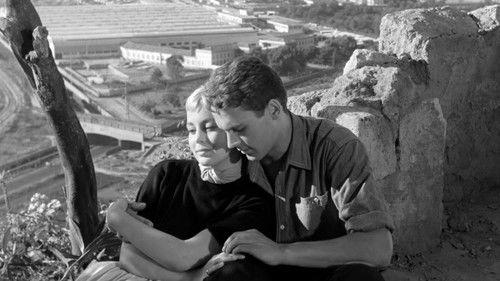 Lazzarella filmas žiurėti online