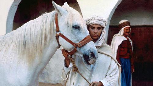 Isabelle Eberhardt filmas žiurėti online