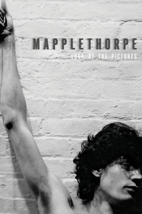 Mapplethorpe: Look at the Pictures filmas online