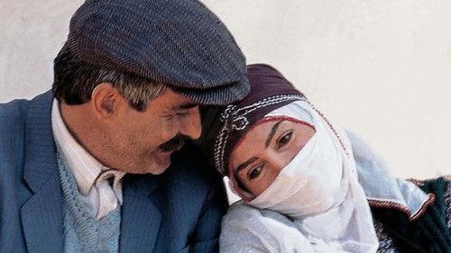 Berdel filmas žiurėti online