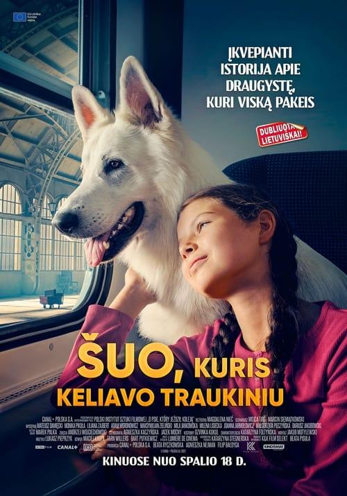 Šuo, kuris keliavo traukiniu