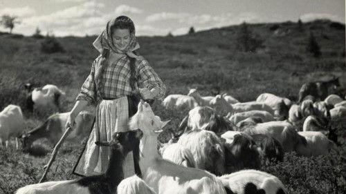 Eli Sjursdotter filmas žiurėti online