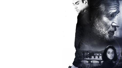 Newcomer filmas žiurėti online