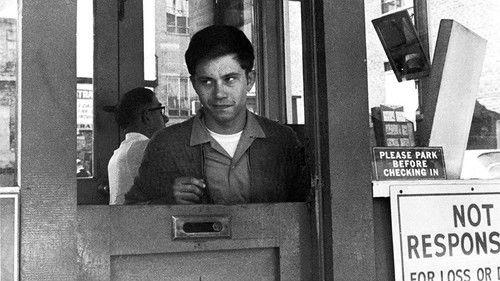 Nobody Waved Goodbye filmas žiurėti online