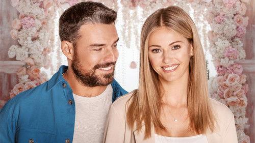 Dream Wedding filmas žiurėti online