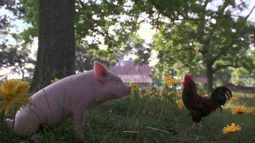 Gordy filmas žiurėti online