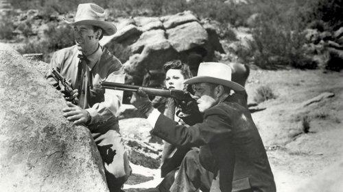 The Last Bandit filmas žiurėti online