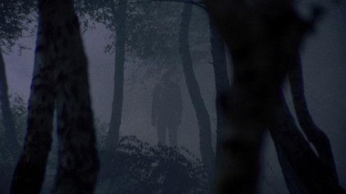 I corpi presentano tracce di violenza carnale filmas žiurėti online