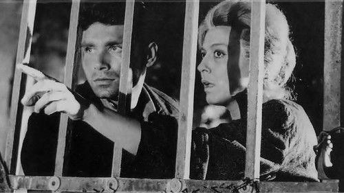 Persecution filmas žiurėti online