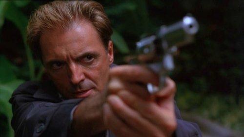 Federal Protection filmas žiurėti online