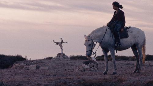 Animale filmas žiurėti online