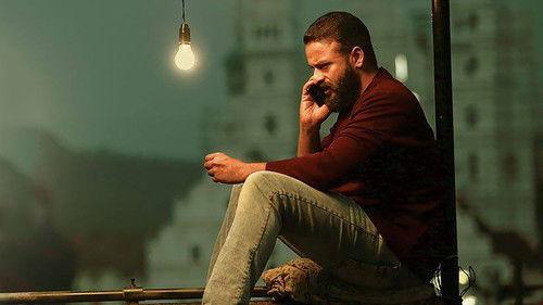 Fukri filmas žiurėti online