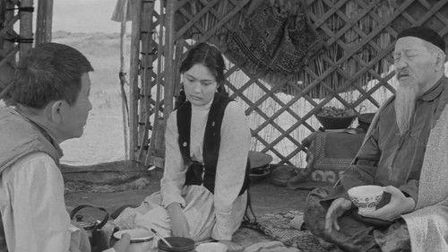 Beardless Deceiver filmas žiurėti online