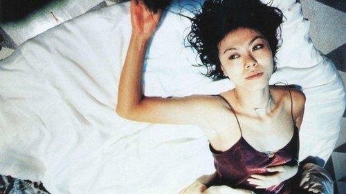 Motel Cactus filmas žiurėti online