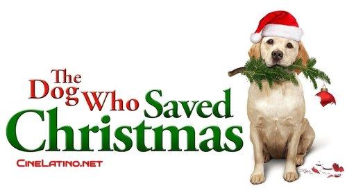 The Dog Who Saved the Holidays filmas žiurėti online
