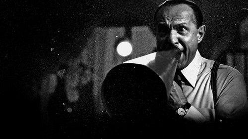 Curtiz filmas žiurėti online