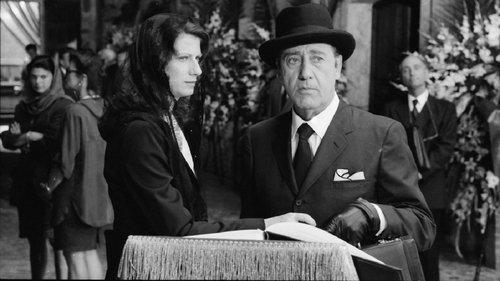 Assolto per aver commesso il fatto filmas žiurėti online