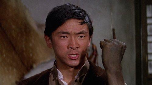 One-Armed Boxer filmas žiurėti online