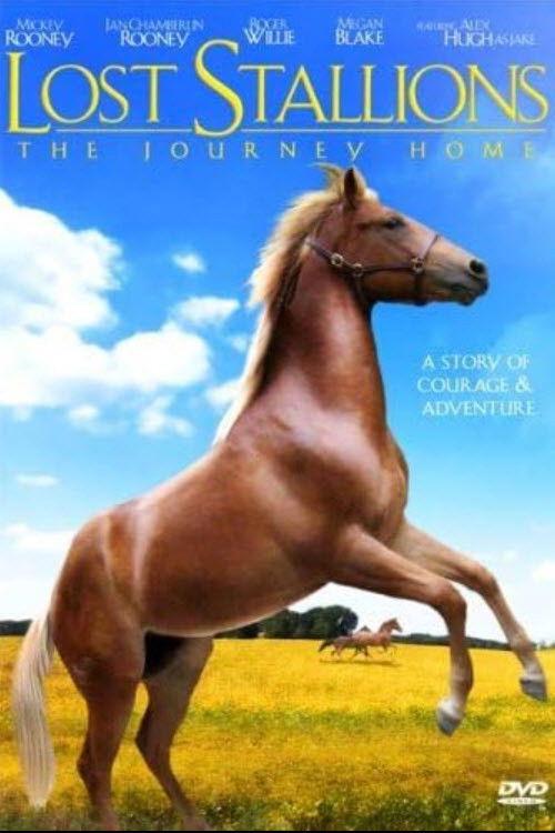 Lost Stallions: The Journey Home filmas online