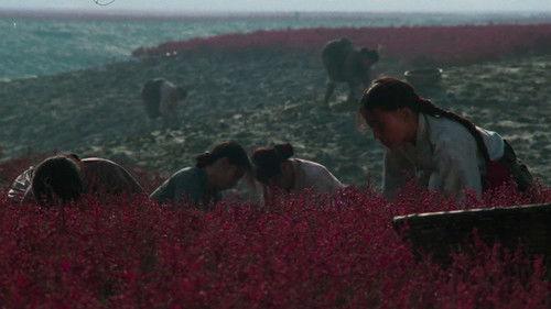 Life Line filmas žiurėti online