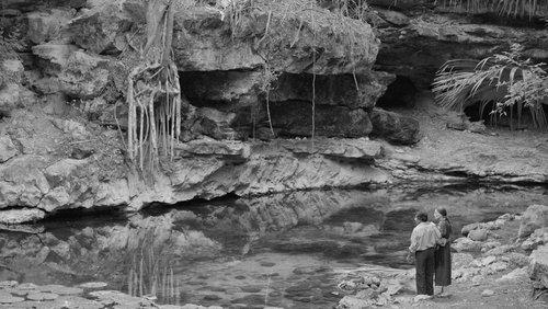 Cosmos filmas žiurėti online