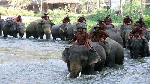 Sunny and the Elephant filmas žiurėti online