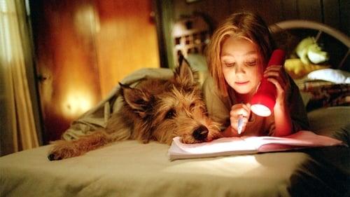 Because of Winn-Dixie filmas žiurėti online