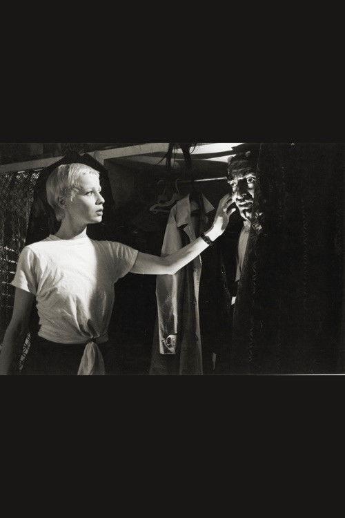 El diablo y la dama filmas online