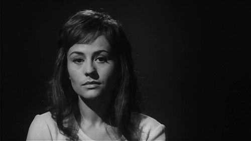 Outlaws of Love filmas žiurėti online