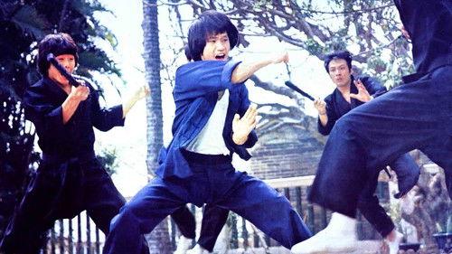 Bruce Le's Greatest Revenge filmas žiurėti online