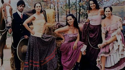 El Tigre de Santa Julia filmas žiurėti online