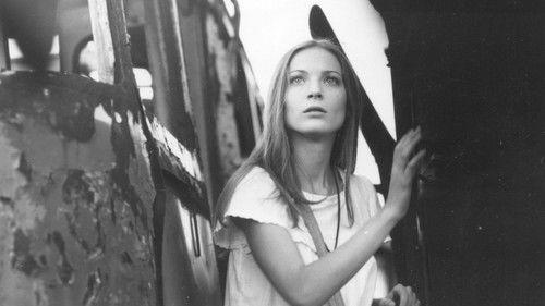 The Barrier filmas žiurėti online