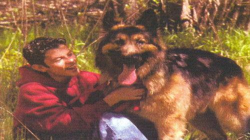 Bring Him Home filmas žiurėti online