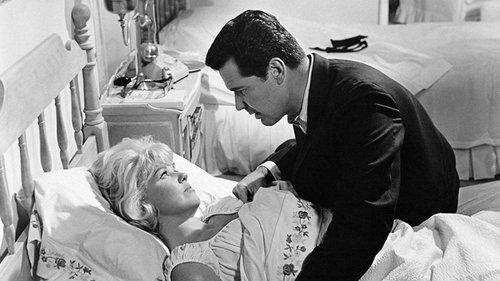 The Thrill of It All filmas žiurėti online