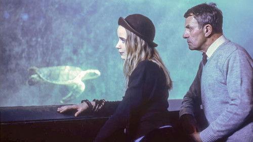 Year of the Turtle filmas žiurėti online