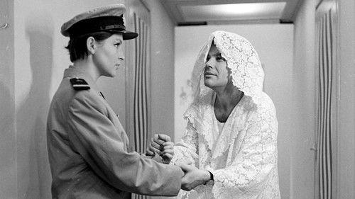 Full Ahead filmas žiurėti online