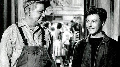 Rue de Paris filmas žiurėti online