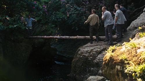 Sulaukėjimas filmas žiurėti online