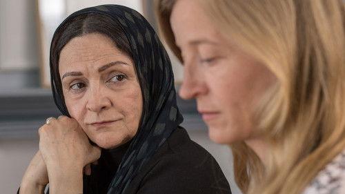 Carpet and Chaos filmas žiurėti online