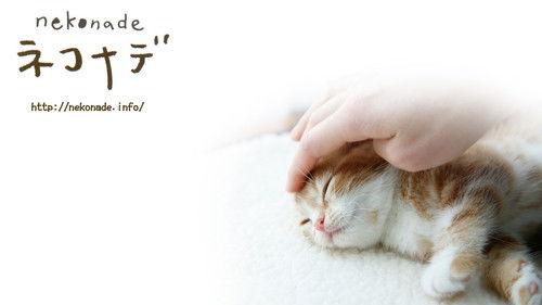 Nekonade filmas žiurėti online