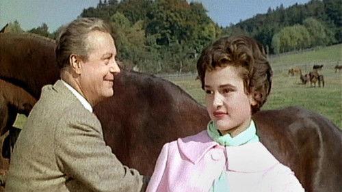 Hubertusjagd filmas žiurėti online