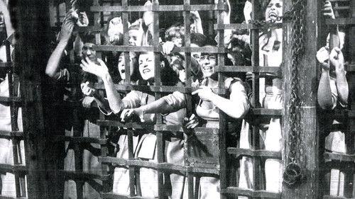 La nave delle donne maledette filmas žiurėti online