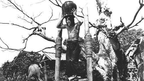 Master Killers filmas žiurėti online