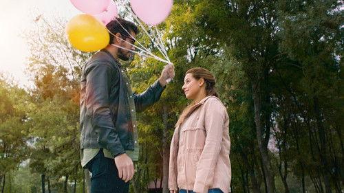 Stunt School filmas žiurėti online