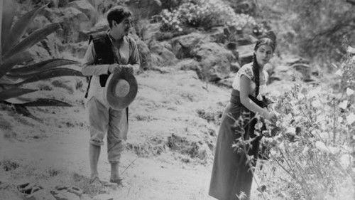 La Mujer Que Yo Perdí filmas žiurėti online